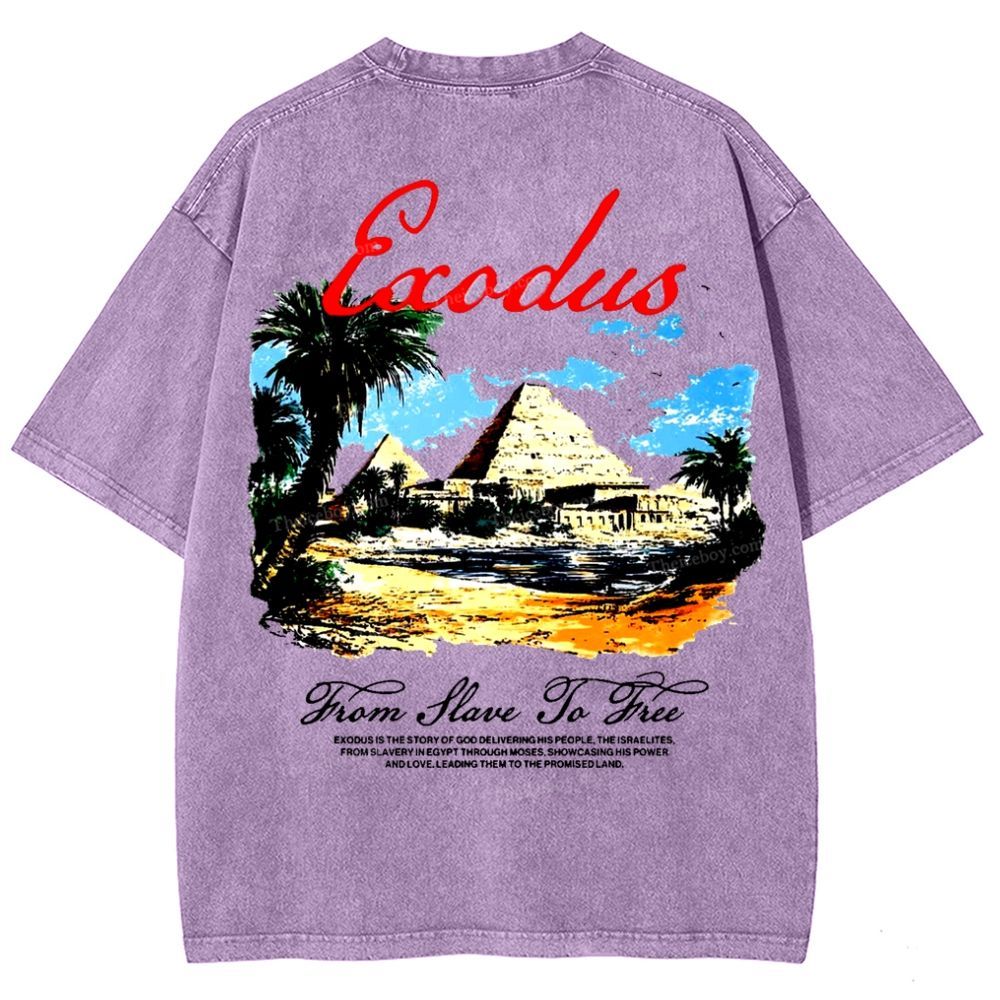 Saodus Snowflake Vintage Washed T-Shirt