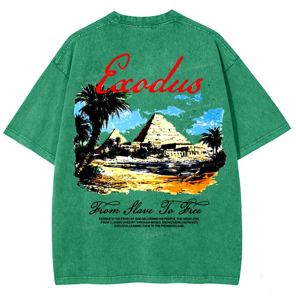 Saodus Snowflake Vintage Washed T-Shirt