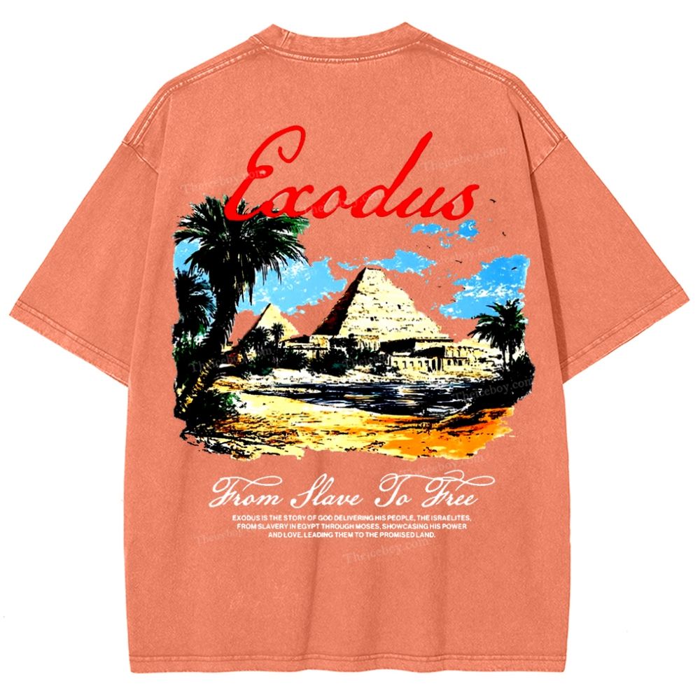 Saodus Snowflake Vintage Washed T-Shirt
