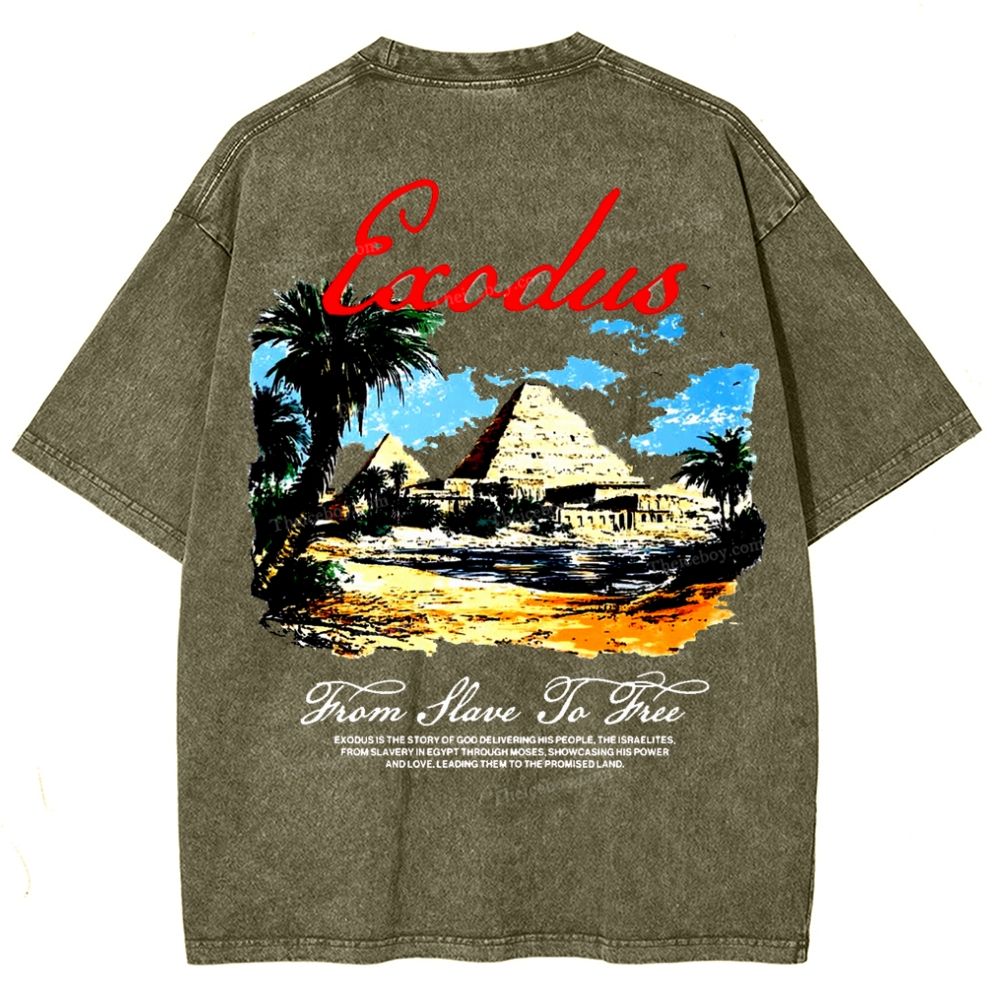 Saodus Snowflake Vintage Washed T-Shirt