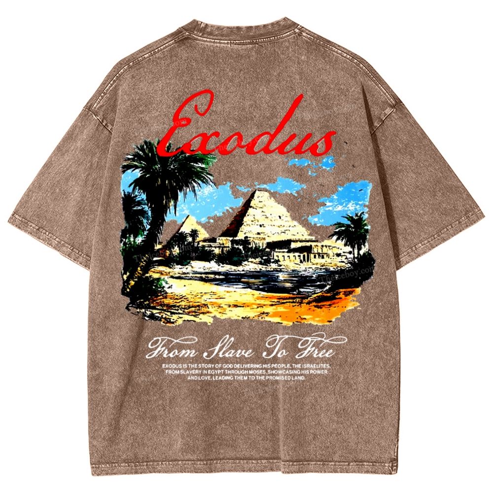 Saodus Snowflake Vintage Washed T-Shirt