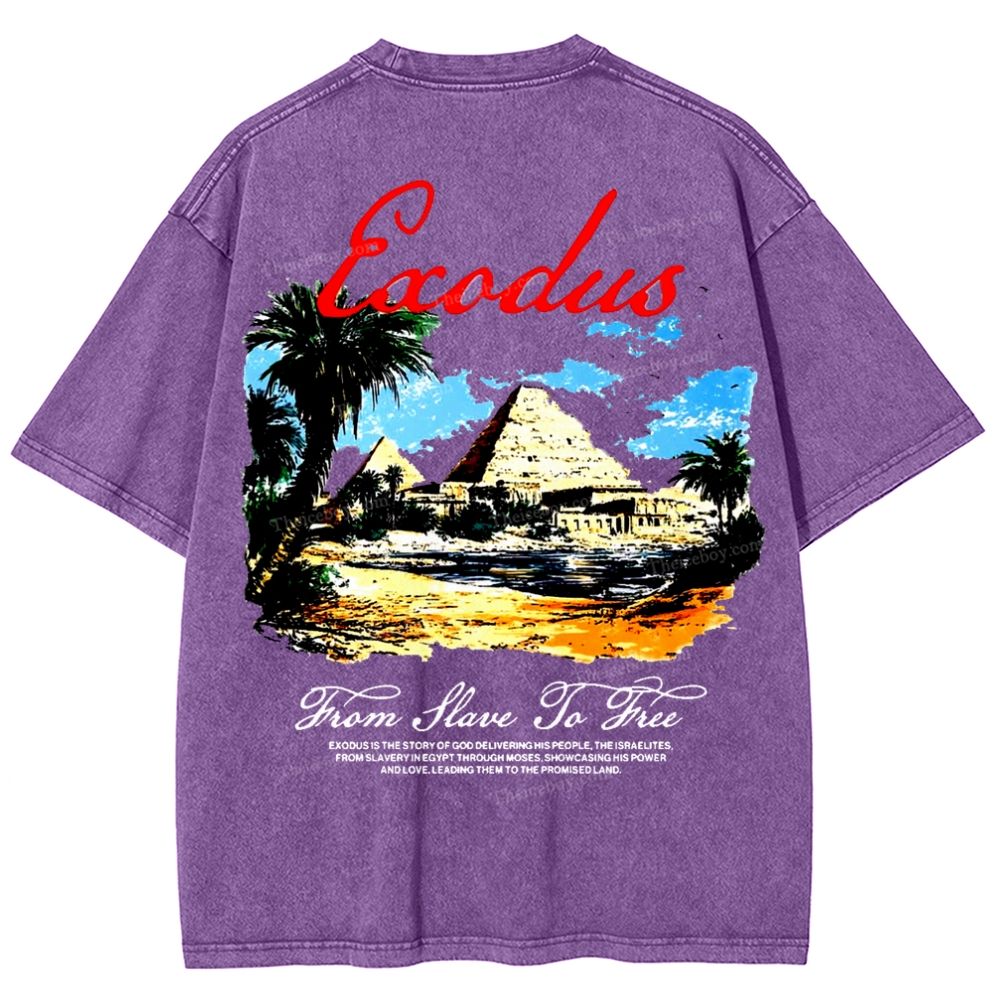 Saodus Snowflake Vintage Washed T-Shirt