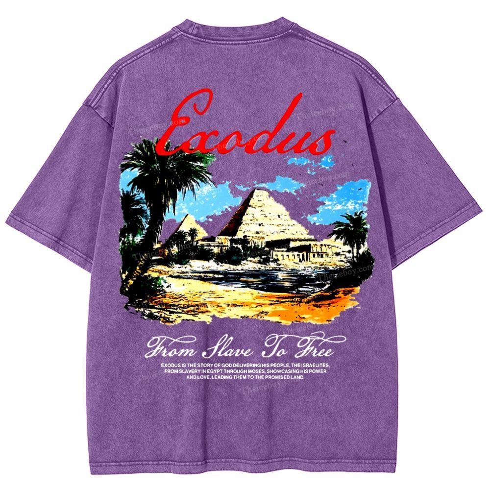 Saodus Snowflake Vintage Washed T-Shirt