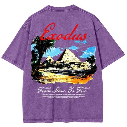 Saodus Snowflake Vintage Washed T-Shirt