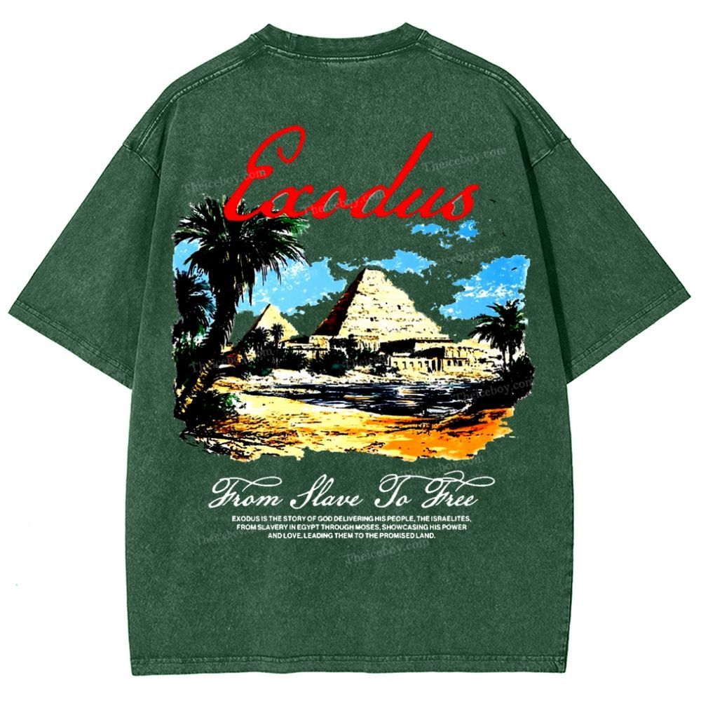 Saodus Snowflake Vintage Washed T-Shirt