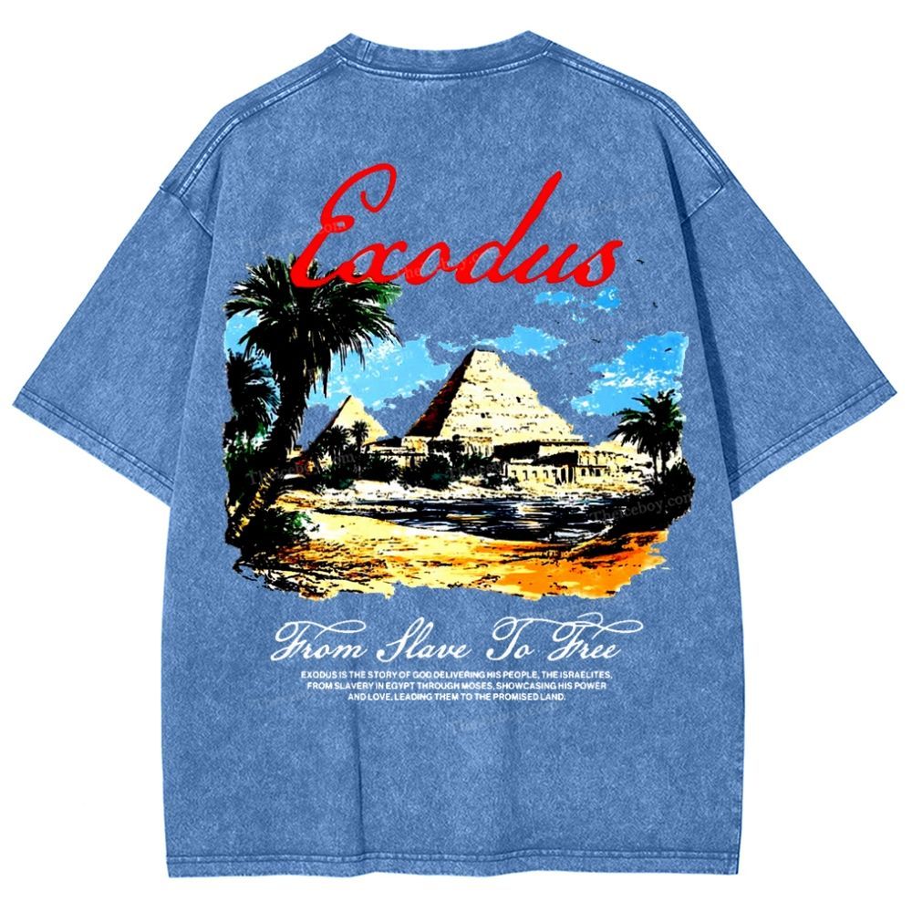Saodus Snowflake Vintage Washed T-Shirt