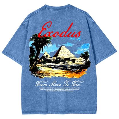 Saodus Snowflake Vintage Washed T-Shirt