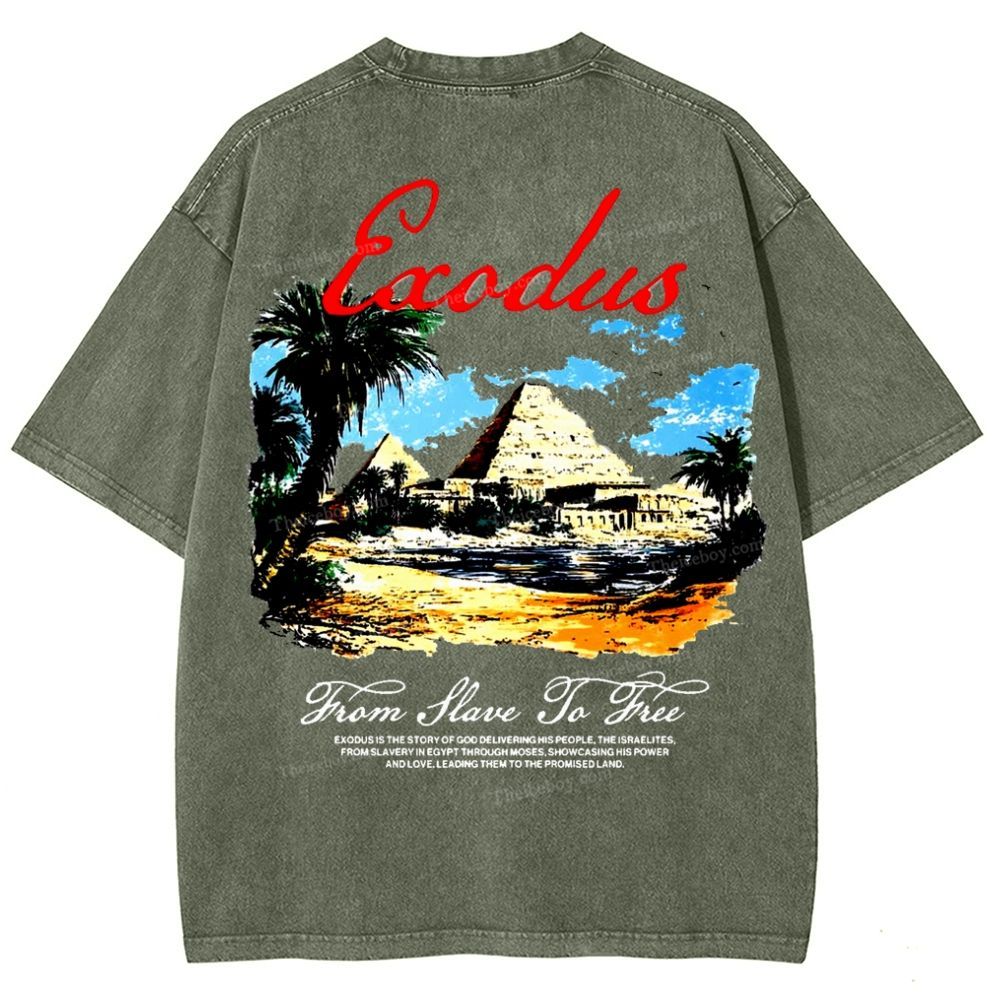 Saodus Snowflake Vintage Washed T-Shirt