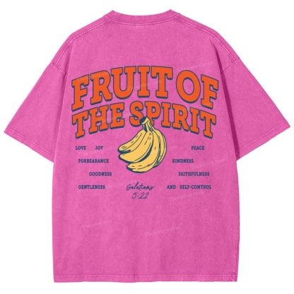 Fruit Of The Spirit Snowflake Vintage Washed T-Shirt