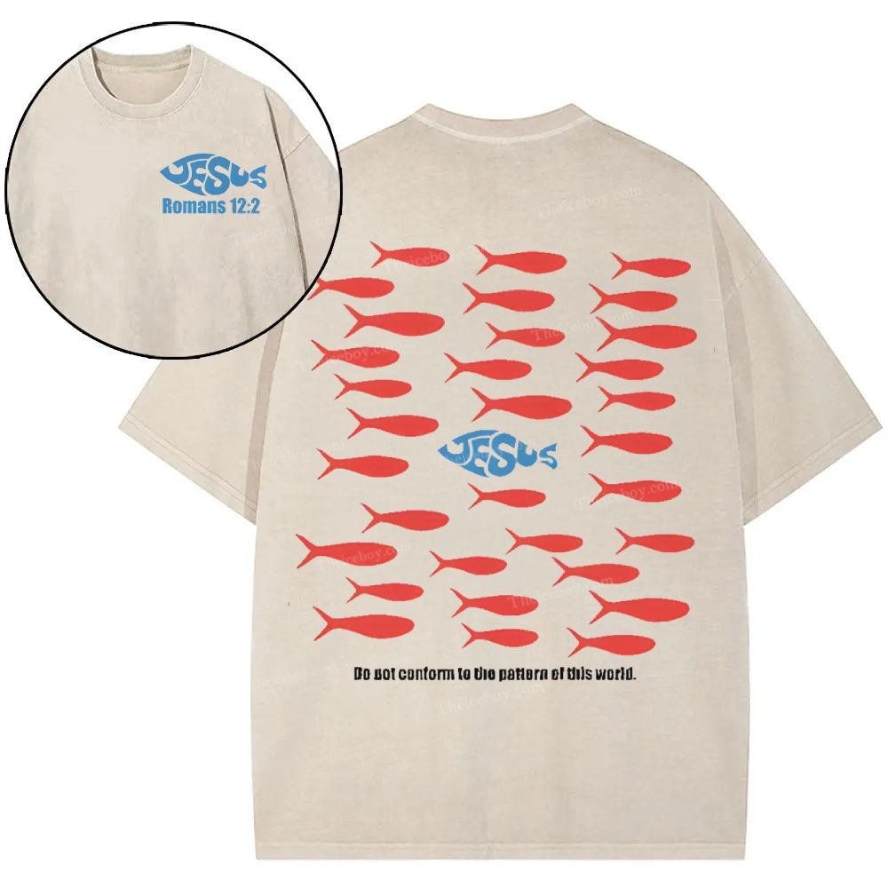 Jesus Romans 12:2 Snowflake Vintage Washed T-Shirt