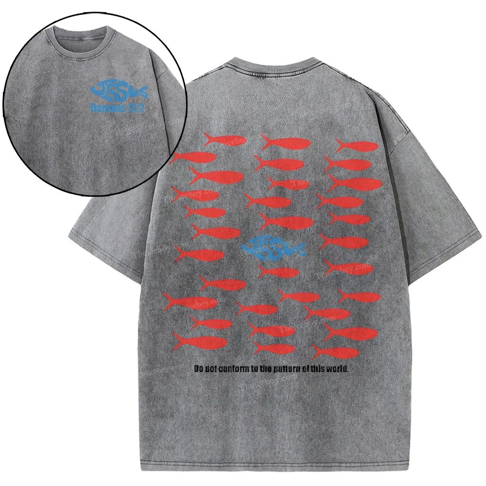 Jesus Romans 12:2 Snowflake Vintage Washed T-Shirt