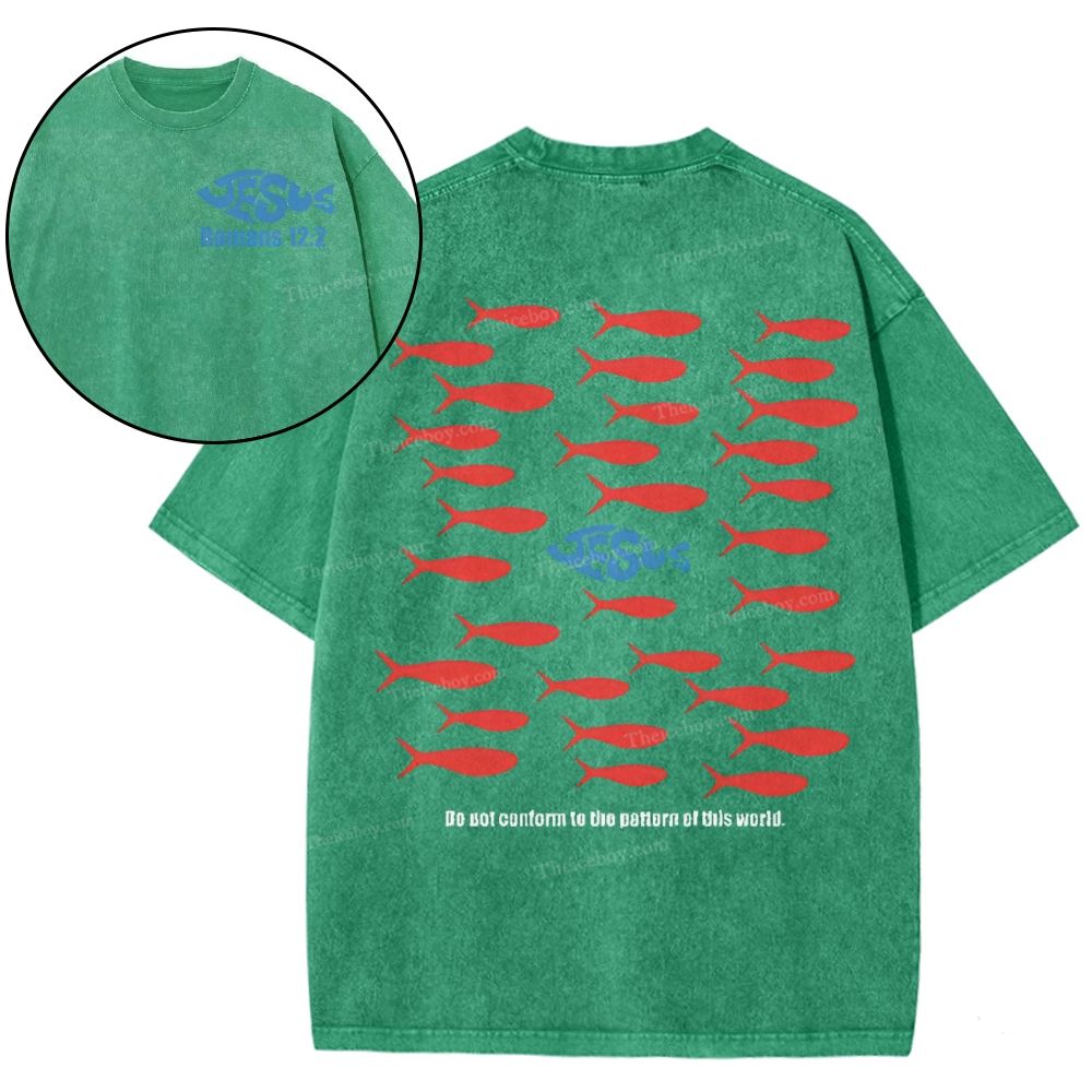 Jesus Romans 12:2 Snowflake Vintage Washed T-Shirt