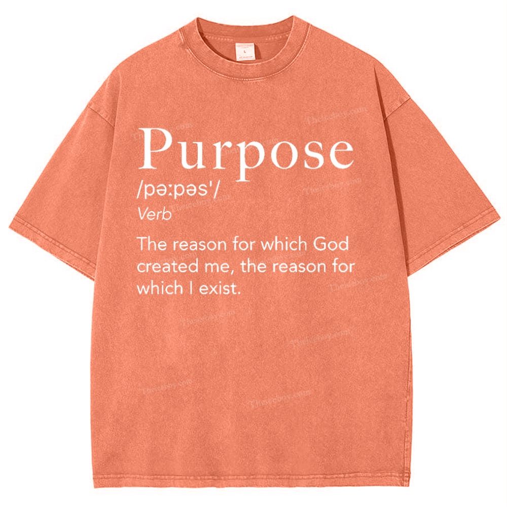 Purpose Snowflake Vintage Washed T-Shirt