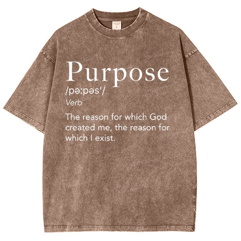 Purpose Snowflake Vintage Washed T-Shirt