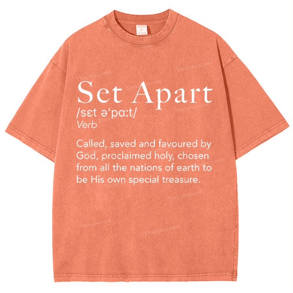 Set Apart Snowflake Vintage Washed T-Shirt