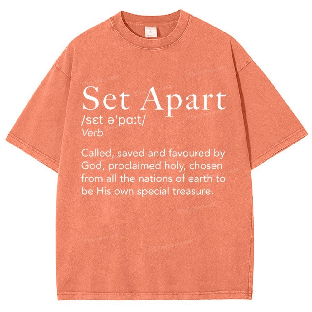 Set Apart Snowflake Vintage Washed T-Shirt