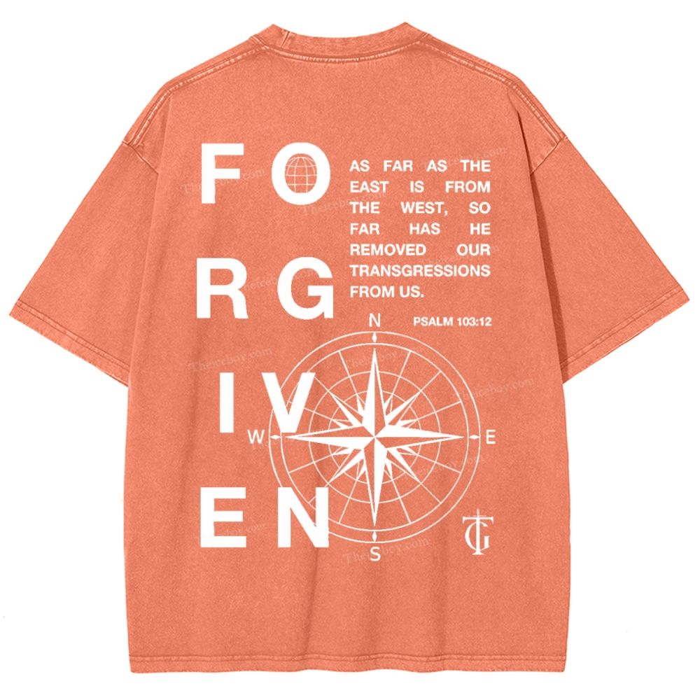 Forgiven Snowflake Vintage Washed T-Shirt