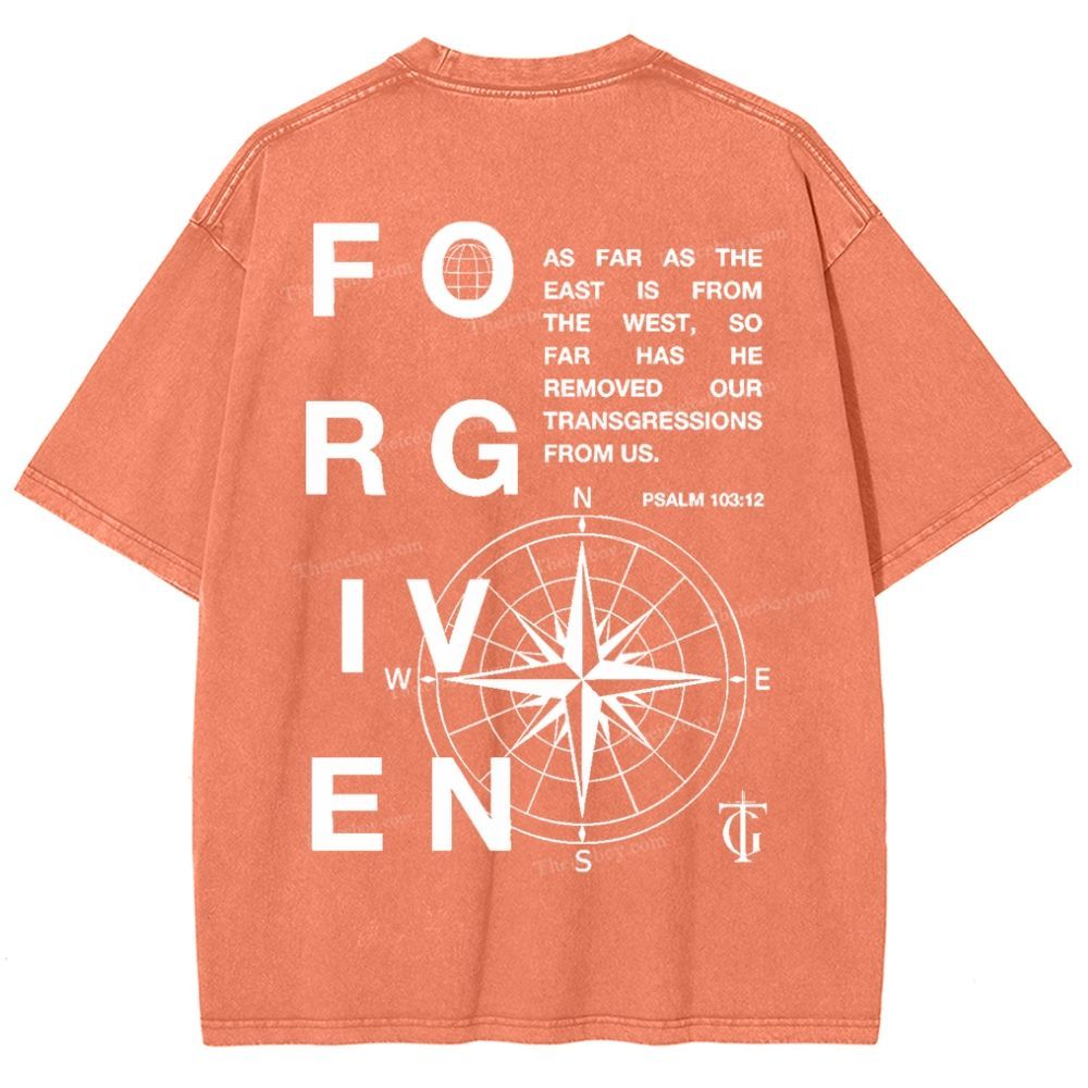Forgiven Snowflake Vintage Washed T-Shirt
