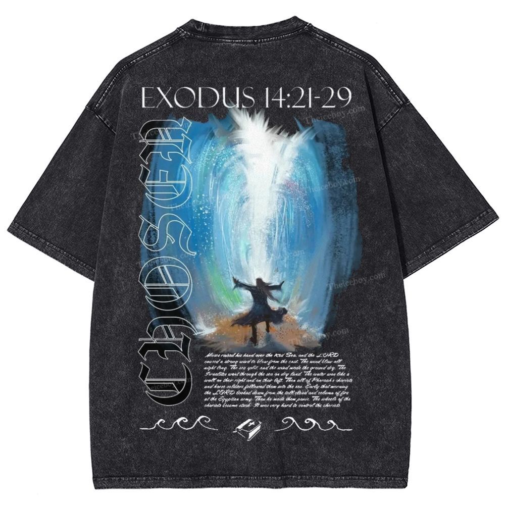 Snowflake Vintage Cotton T-Shirt 2504009027