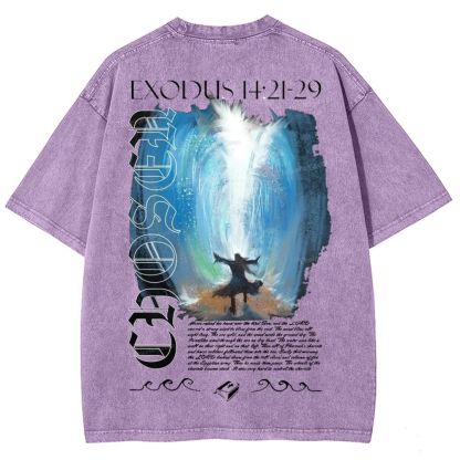 Snowflake Vintage Cotton T-Shirt 2504009027