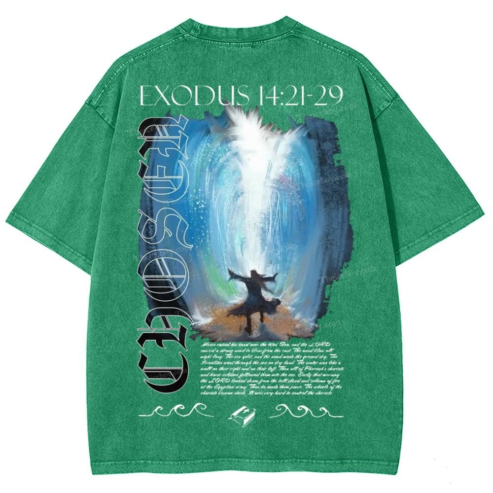 Snowflake Vintage Cotton T-Shirt 2504009027