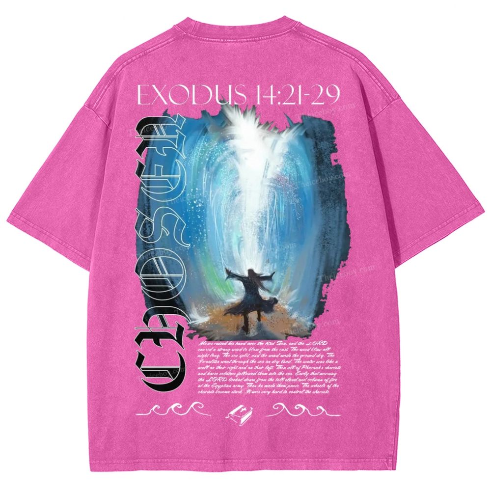 Snowflake Vintage Cotton T-Shirt 2504009027