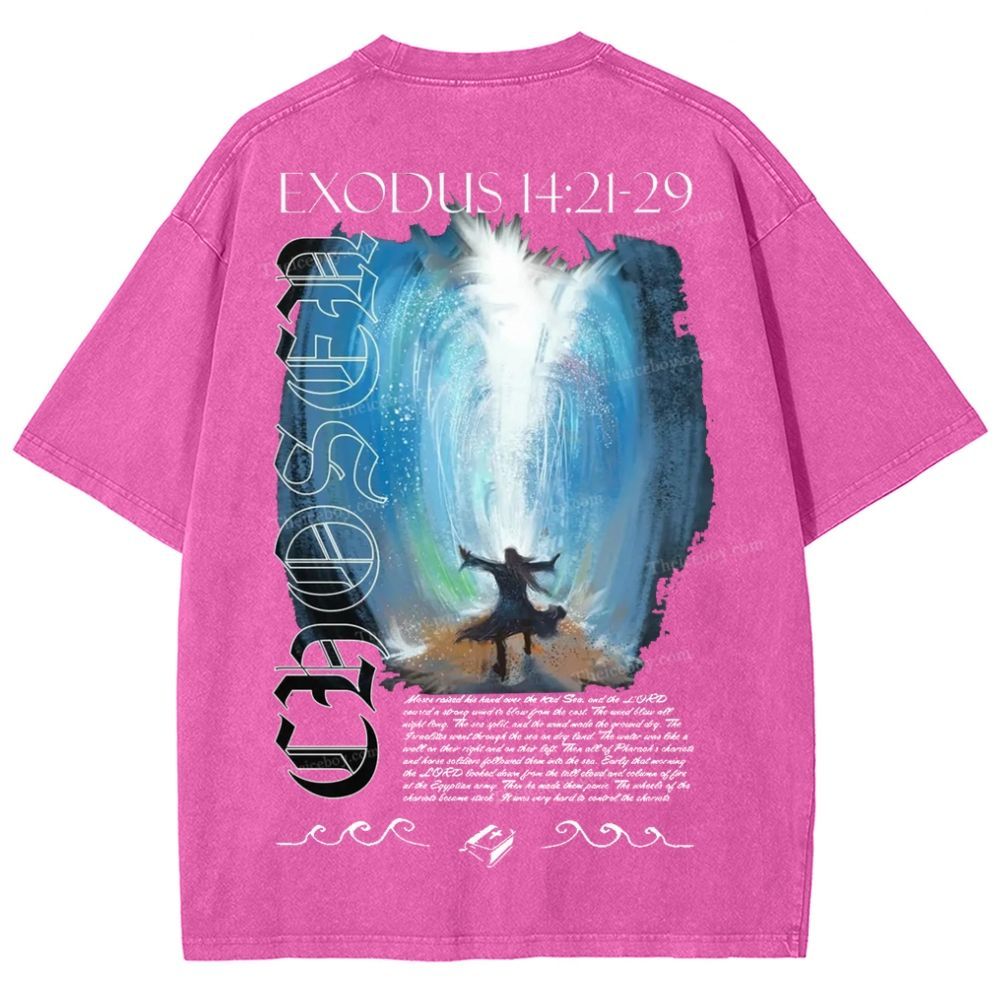 Snowflake Vintage Cotton T-Shirt 2504009027