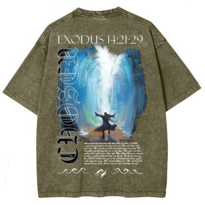 Snowflake Vintage Cotton T-Shirt 2504009027