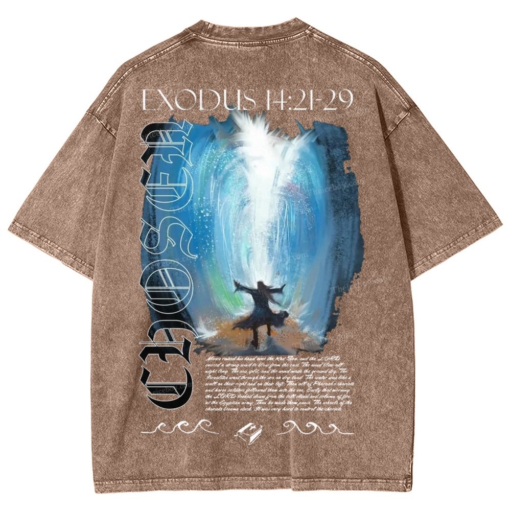 Snowflake Vintage Cotton T-Shirt 2504009027