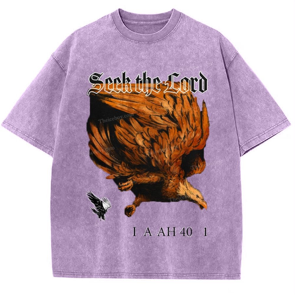 Seek The Lord Snowflake Vintage Washed T-Shirt