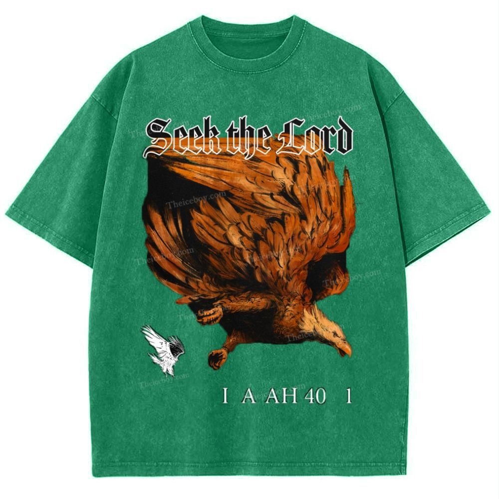 Seek The Lord Snowflake Vintage Washed T-Shirt