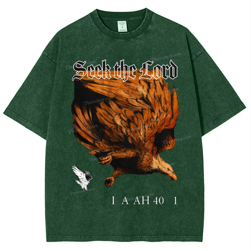 Seek The Lord Snowflake Vintage Washed T-Shirt