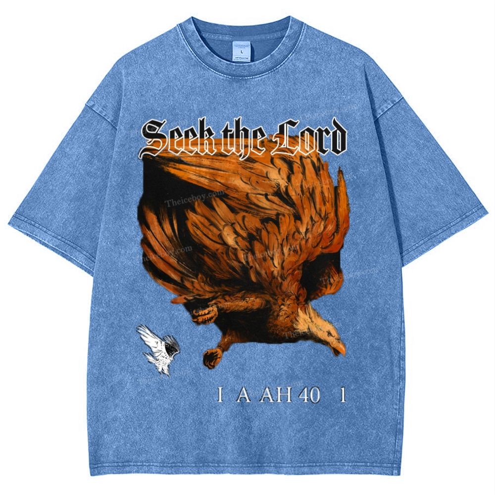 Seek The Lord Snowflake Vintage Washed T-Shirt