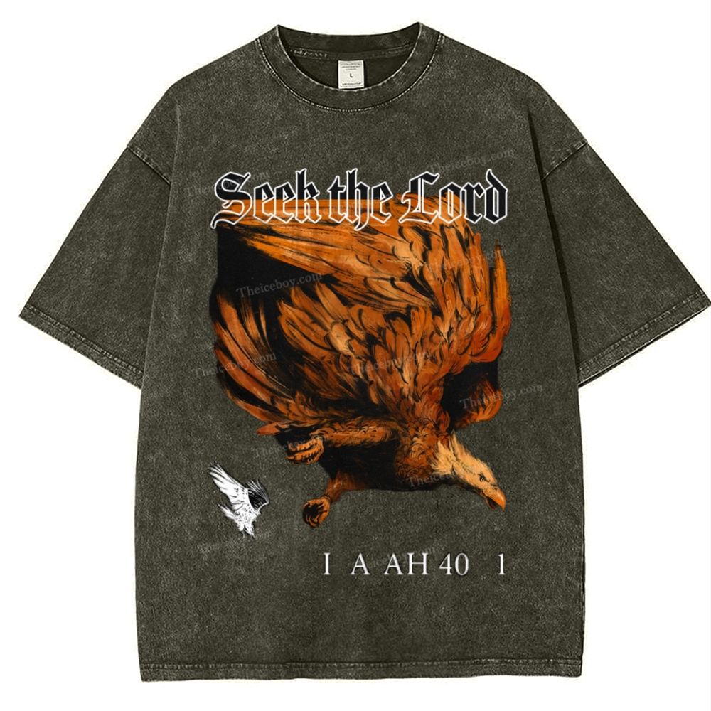 Seek The Lord Snowflake Vintage Washed T-Shirt