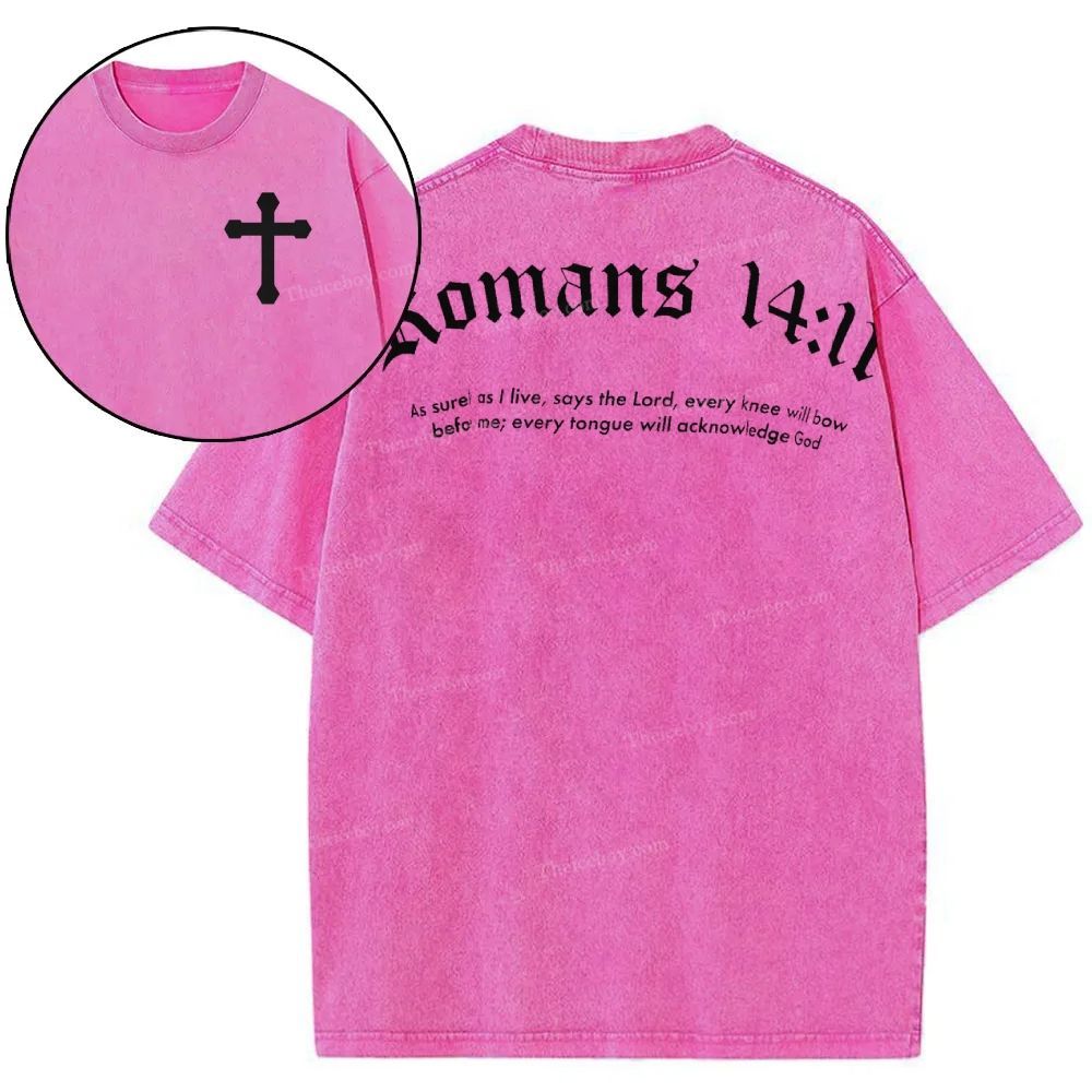 Romans 14:11 Snowflake Vintage Washed T-Shirt
