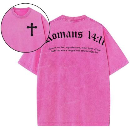 Romans 14:11 Snowflake Vintage Washed T-Shirt