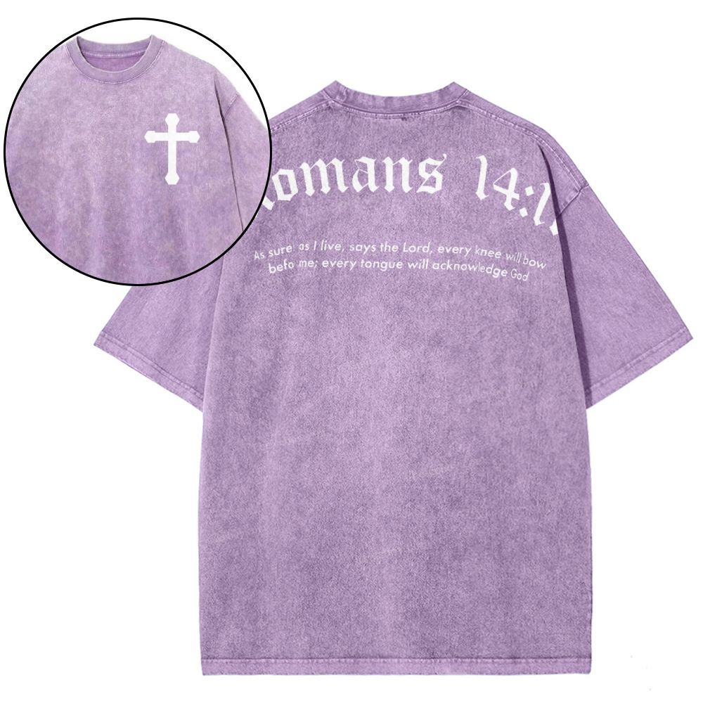 Romans 14:11 Snowflake Vintage Washed T-Shirt