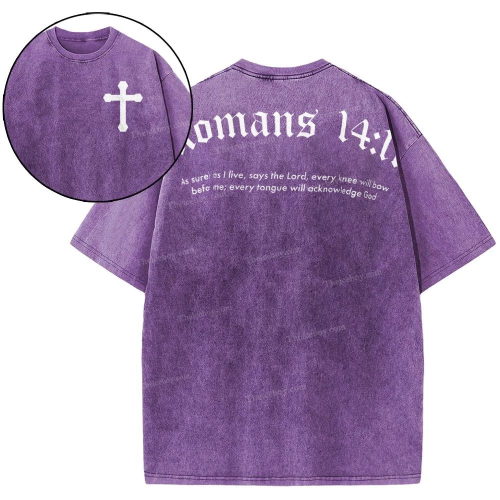 Romans 14:11 Snowflake Vintage Washed T-Shirt