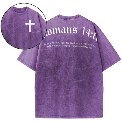 Romans 14:11 Snowflake Vintage Washed T-Shirt