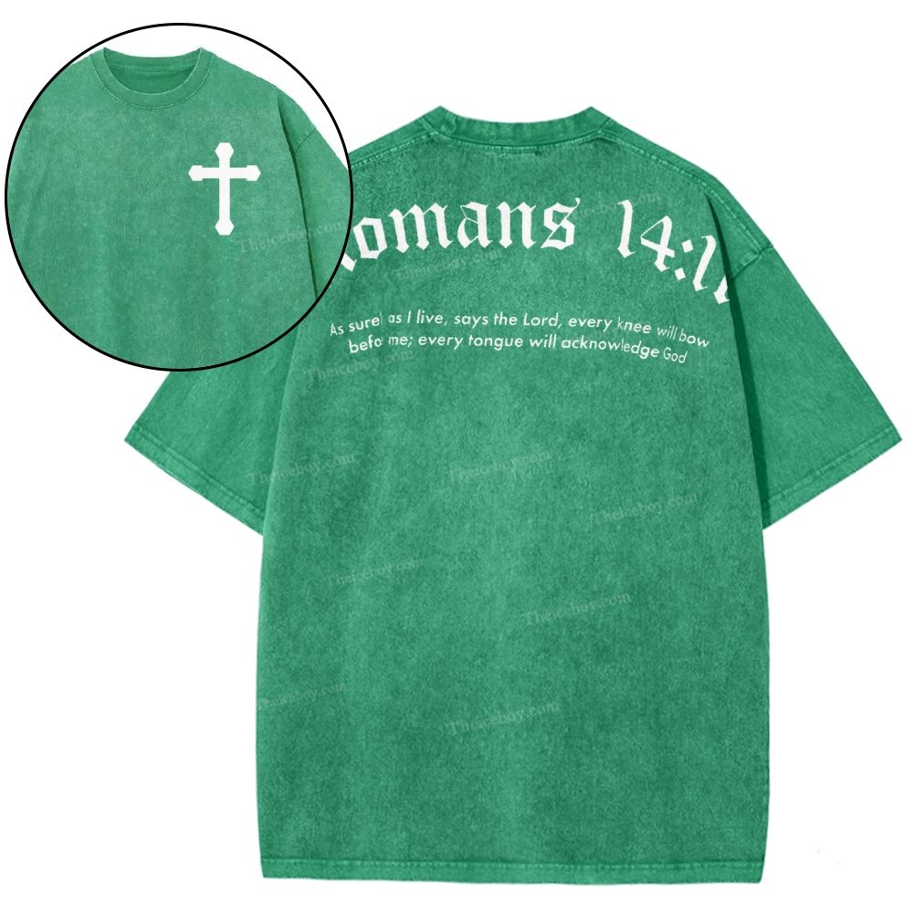 Romans 14:11 Snowflake Vintage Washed T-Shirt