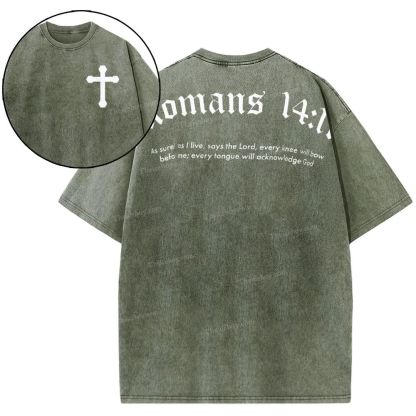 Romans 14:11 Snowflake Vintage Washed T-Shirt