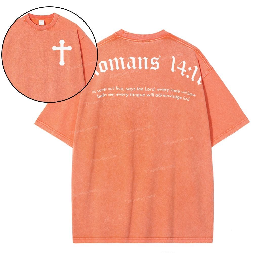 Romans 14:11 Snowflake Vintage Washed T-Shirt