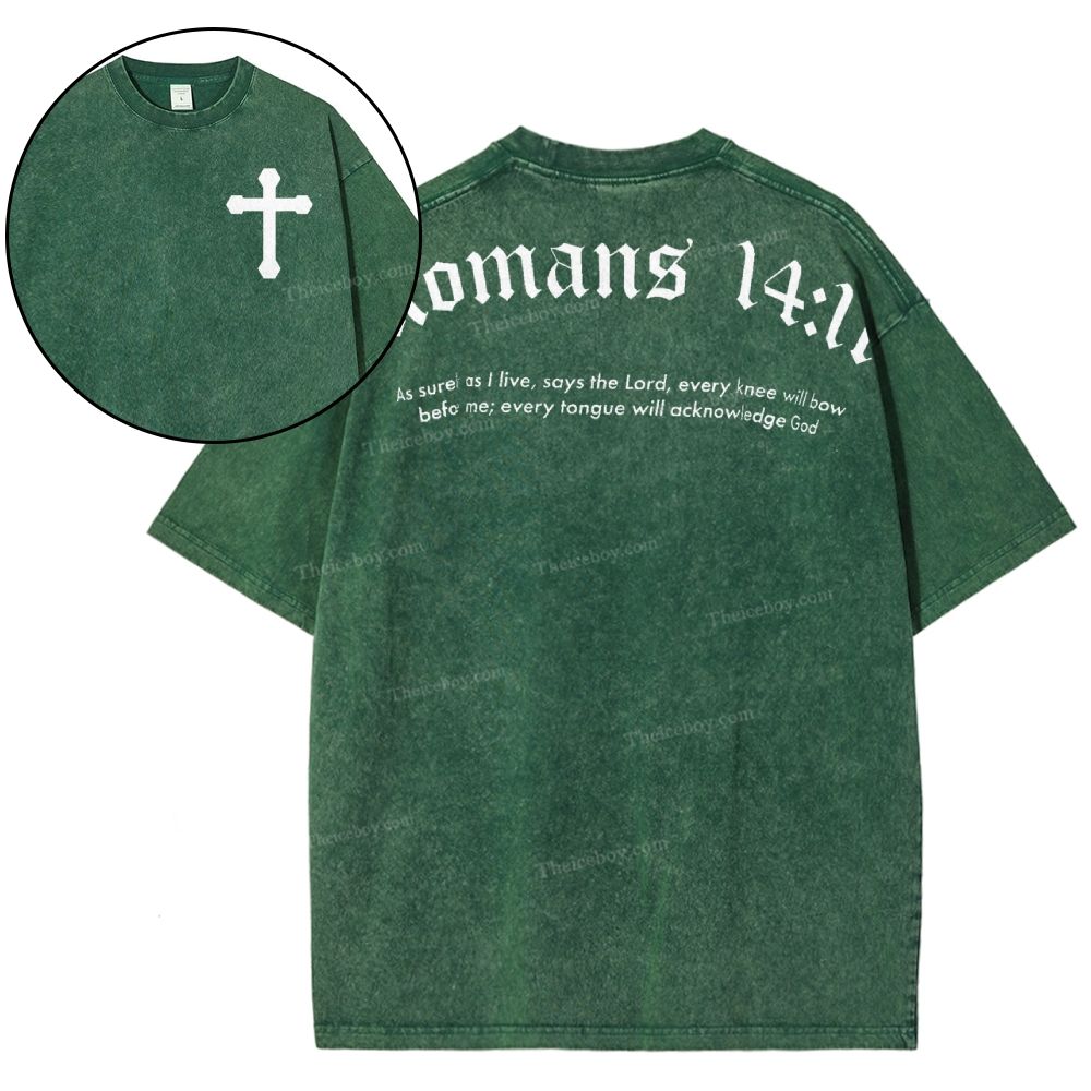 Romans 14:11 Snowflake Vintage Washed T-Shirt