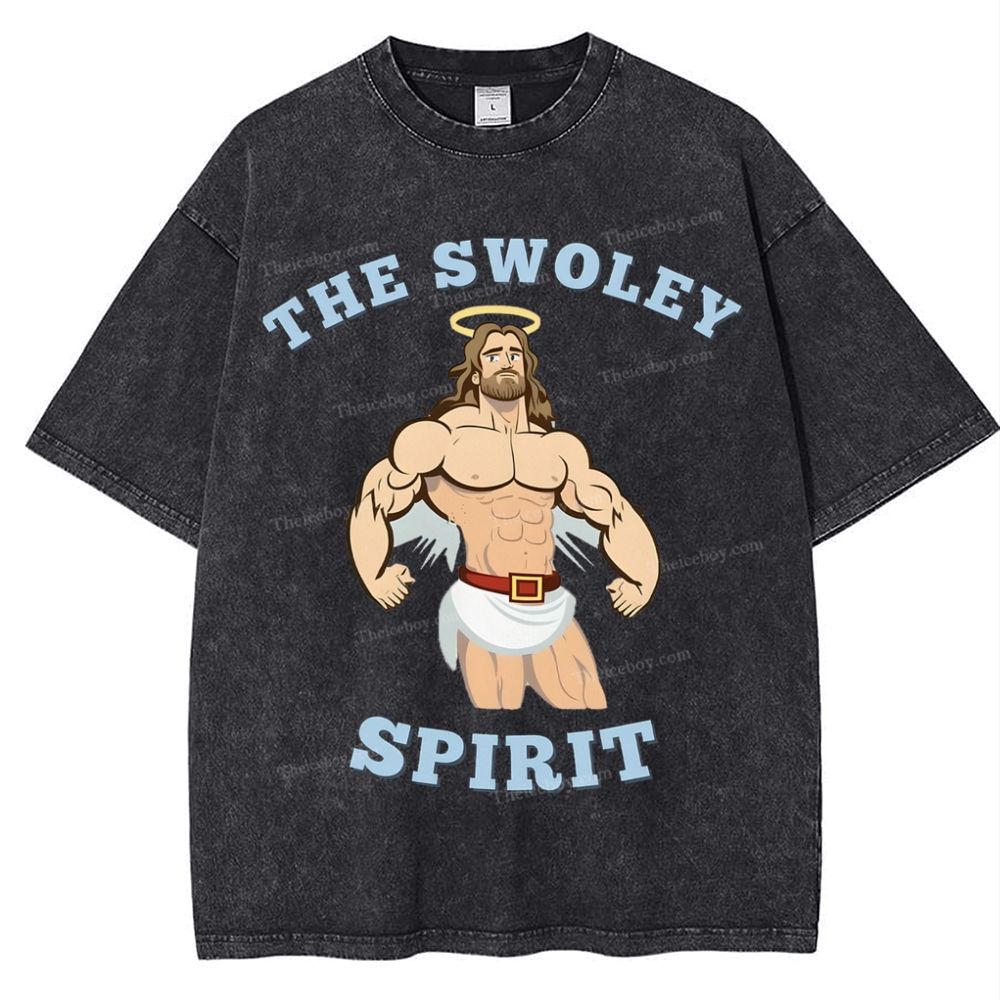 The Swoley Spirit Snowflake Vintage Washed T-Shirt
