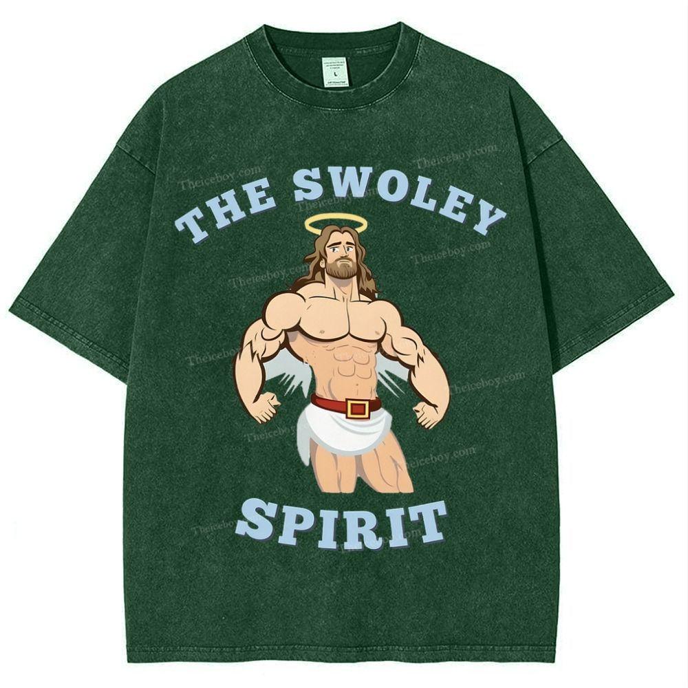 The Swoley Spirit Snowflake Vintage Washed T-Shirt
