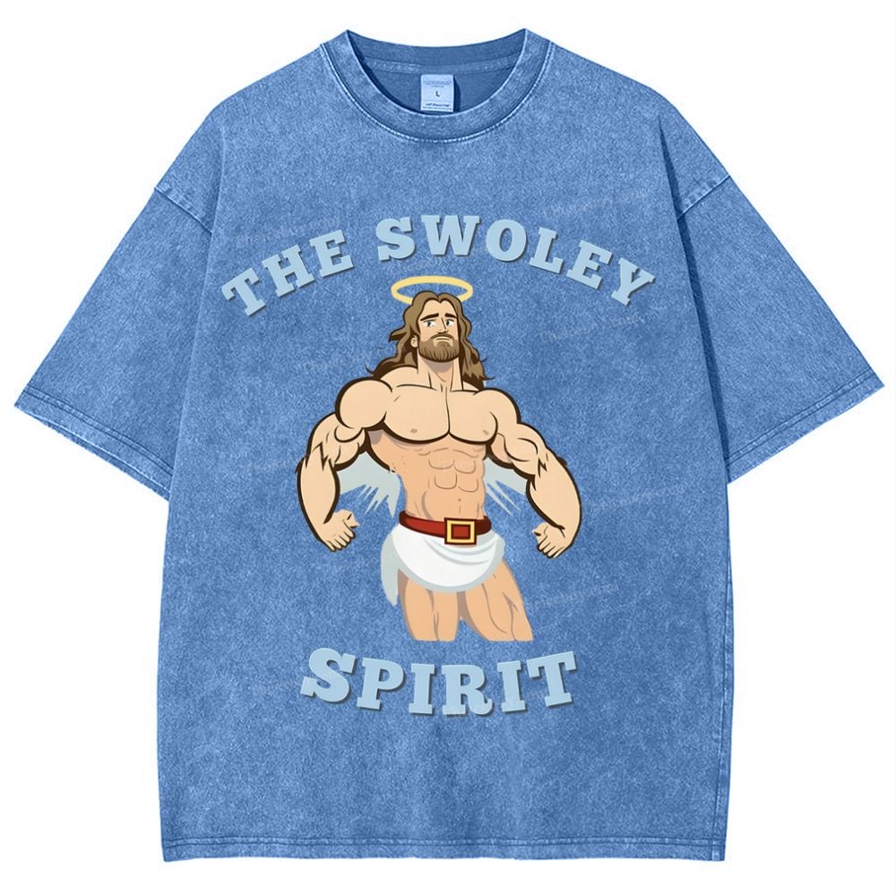 The Swoley Spirit Snowflake Vintage Washed T-Shirt