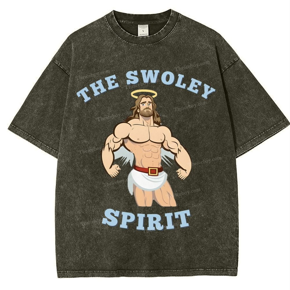 The Swoley Spirit Snowflake Vintage Washed T-Shirt