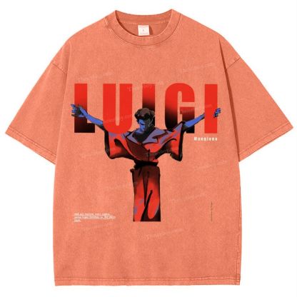 Luigi Snowflake Vintage Washed T-Shirt