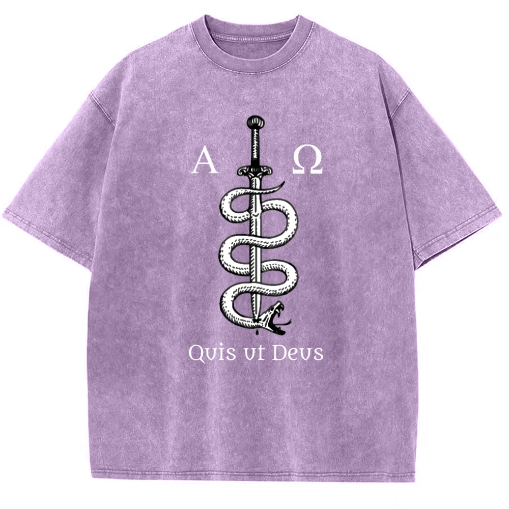 Qvis Vt Devs Snowflake Vintage Cotton T-Shirt