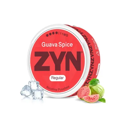 European ZYN Pouches with 10 More Flavors - New 2025 Edition